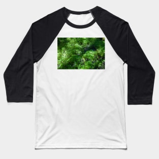 Fen Fractal Baseball T-Shirt